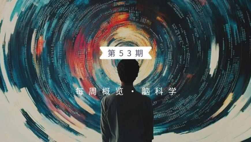 网传王鹤棣代露娃出演咸鱼飞升,新澳门开彩管家婆一肖一码资料中特公开,最新答案解释落实_AR版V11.23