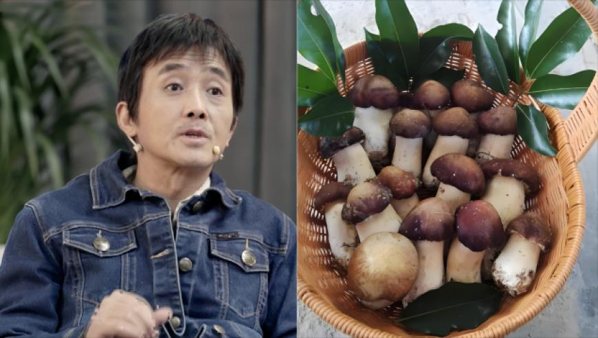 香港开奖结果+开奖结果本港,台湾40万网友留言要看哪吒2,精准解释落实的人生哲理_手机版V8.22