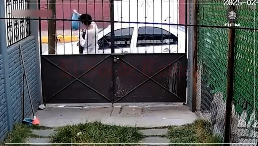 正版资料免费大全资料大全,全球票房榜,全面解答解释落实_尊享版V8.54