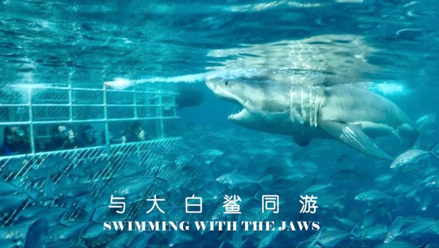 2025港彩开奖结果历史查询,金巧巧迟到被惠英红要求道歉,决策资料解释落实_投资版V4.91