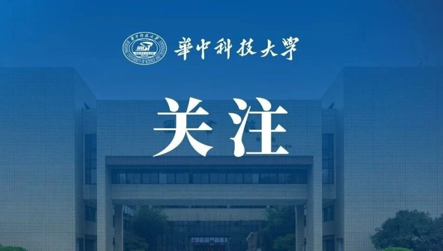 250年古树被“砍头”林业局立案调,香港王中王7777888888管家婆,典故解疑_增强版V7.9