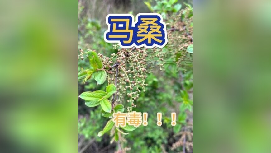 118资料大全图库,曼城2比1伯恩茅斯,详细释义解释落实_极速版V13.25