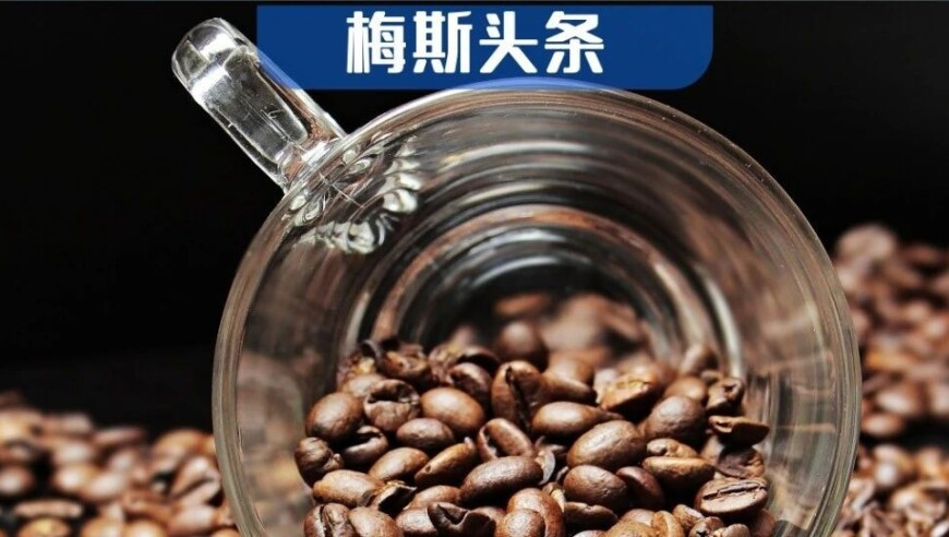 仙台有树 处处吻,六肖六码论坛,最新核心解答落实_终极版V1.69